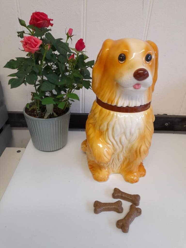 Dog Friendly